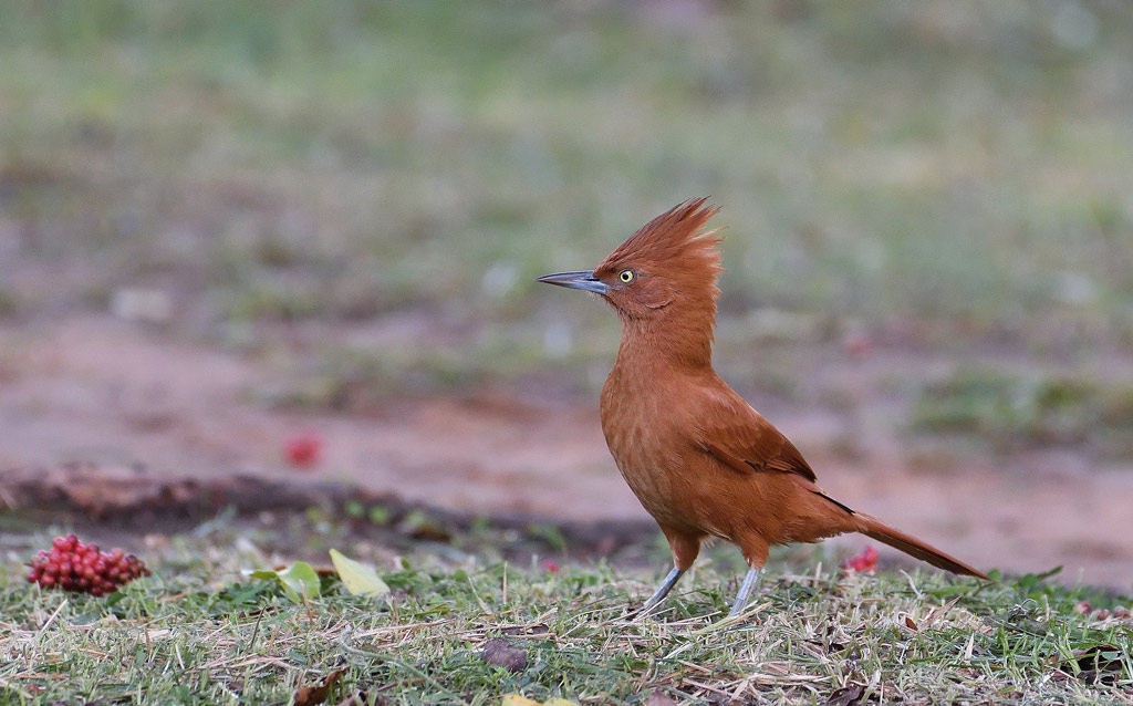 DSC_0001.jpg