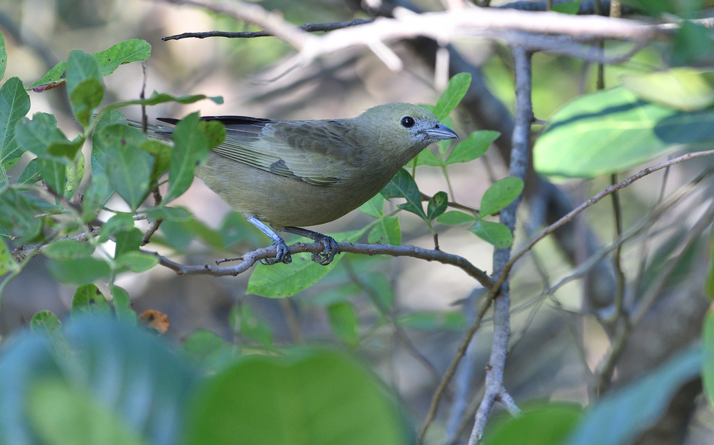 DSC_0034.jpg