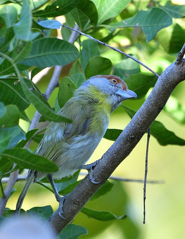 DSC_0066.jpg