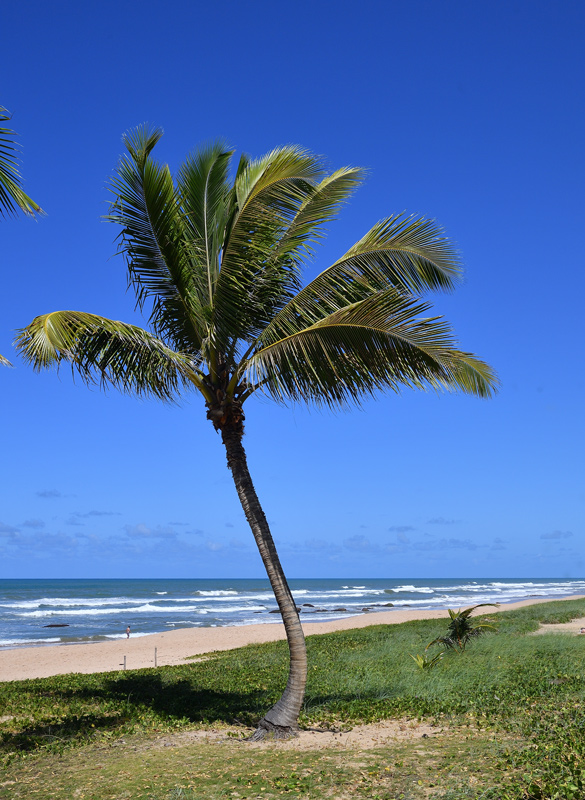 DS5_6187.jpg