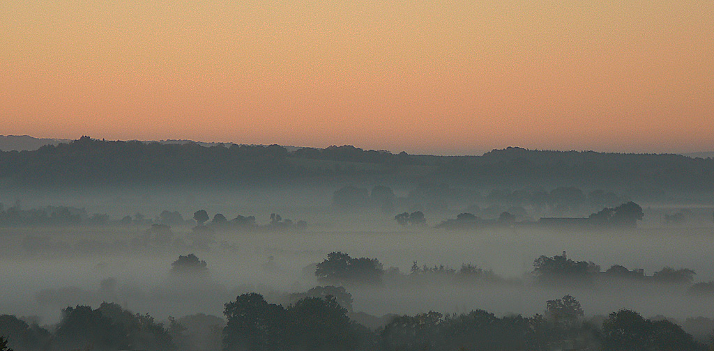 P1100933 IN.jpg