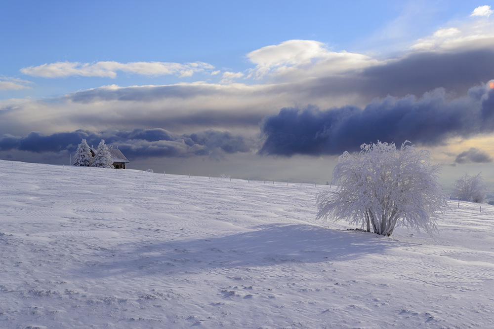 DSC_0022.jpg
