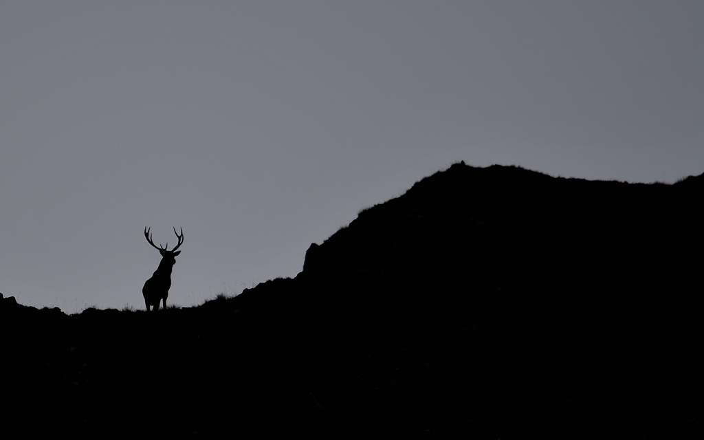 DS5_6851.jpg