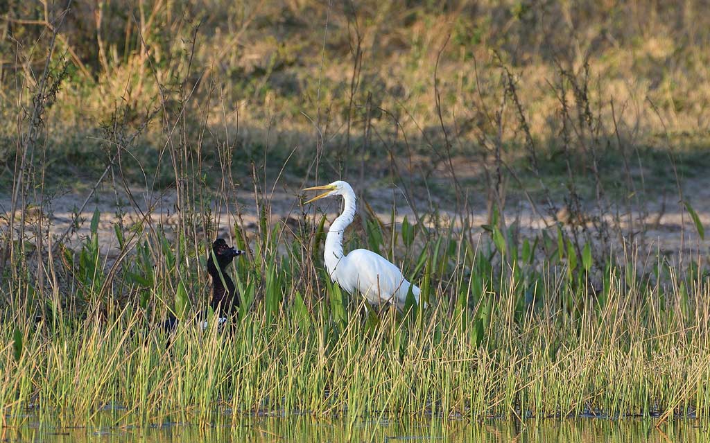 DSC_9846.jpg