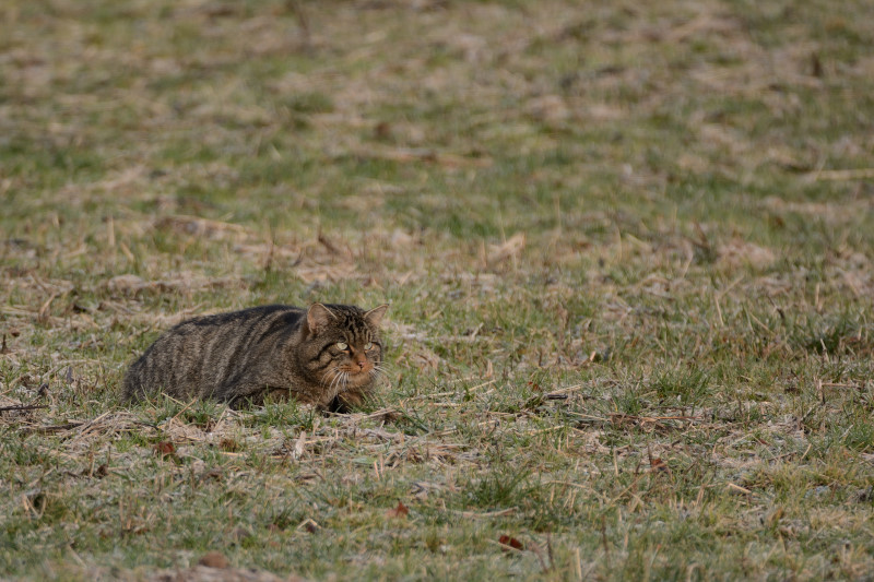 DSC_5187_00003.JPG