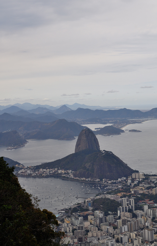 DS5_6237.jpg