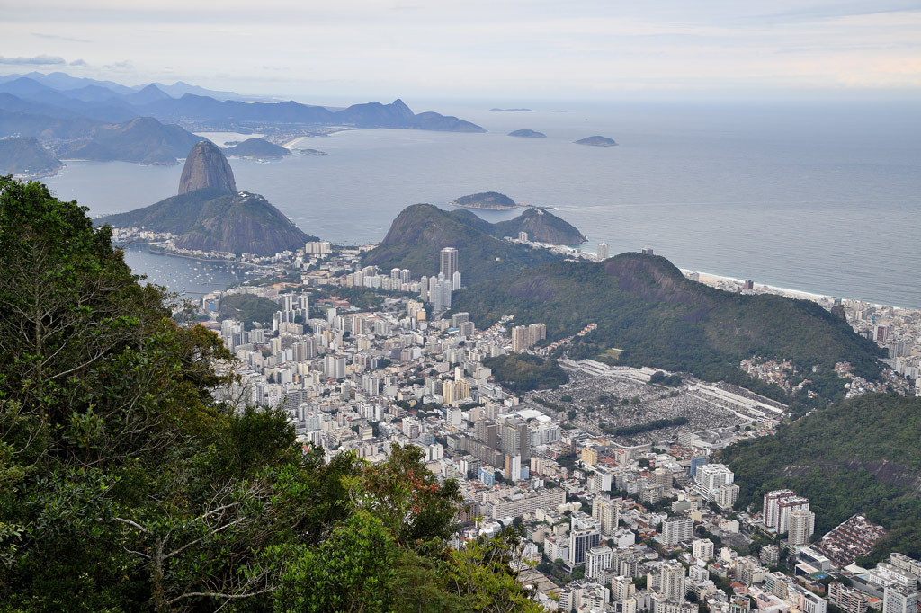 DS5_6255.jpg