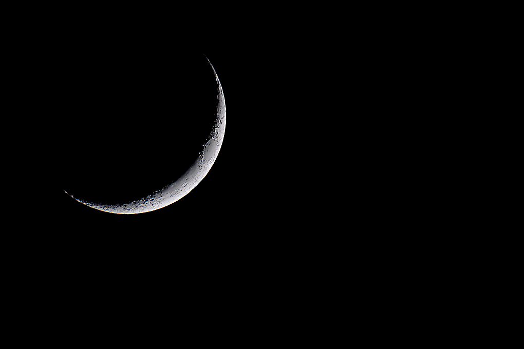 DSC_7142_DxO.jpg