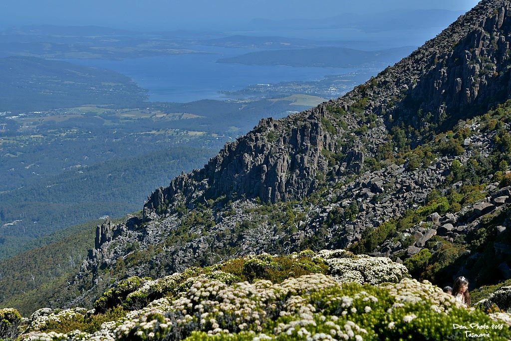 DSC_0427IN.jpg