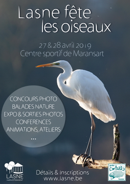 Fete oiseaux 5.jpg