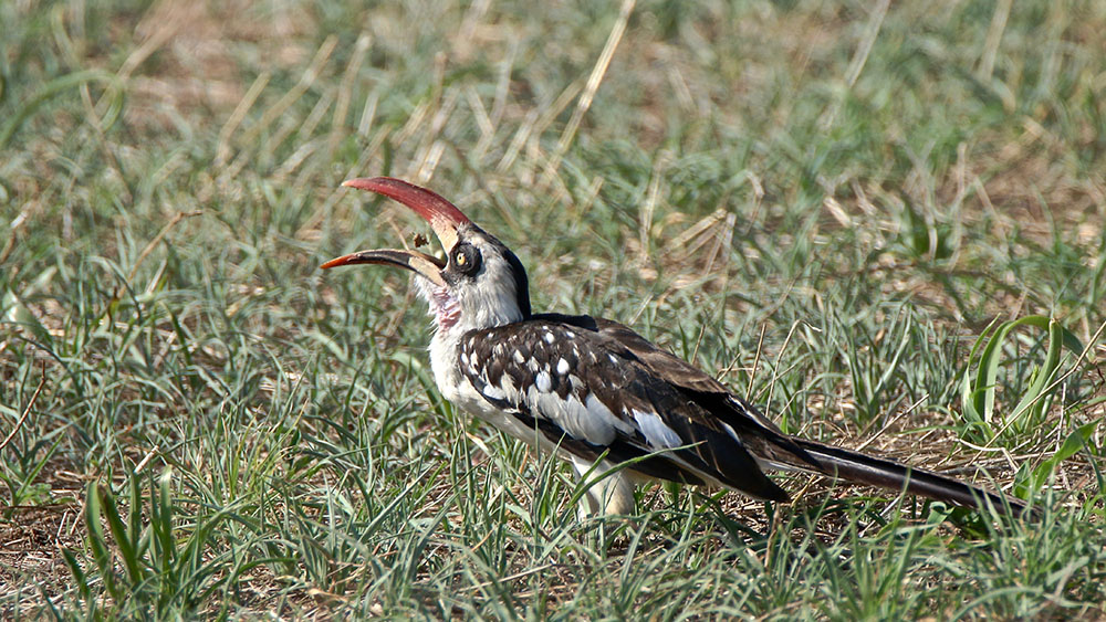 IMG_9555 copie.jpg
