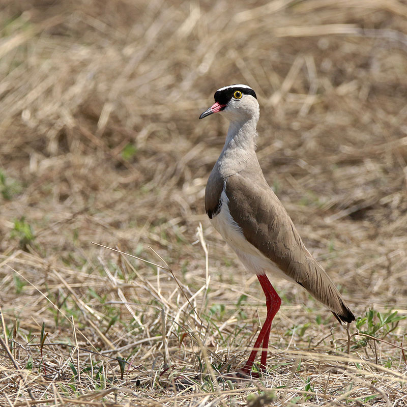 IMG_9577 copie.jpg