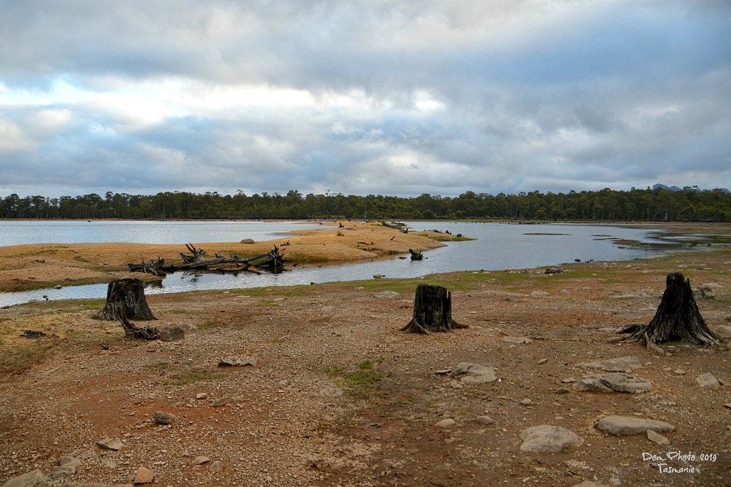 DSC_1070IN.jpg