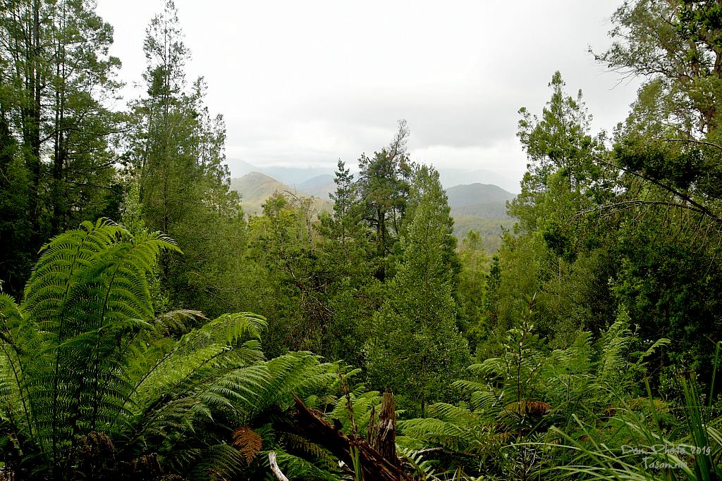 DSC_1184IN.jpg