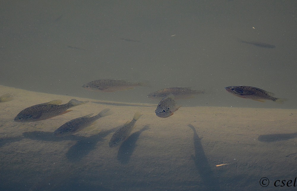 DSC_3639.jpg