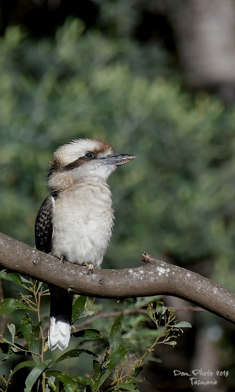 DSC_1360IN.jpg