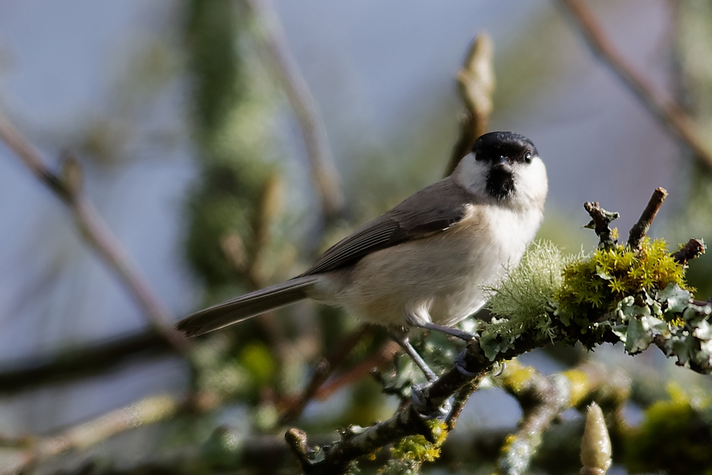 DSC_6177_DxO.jpg