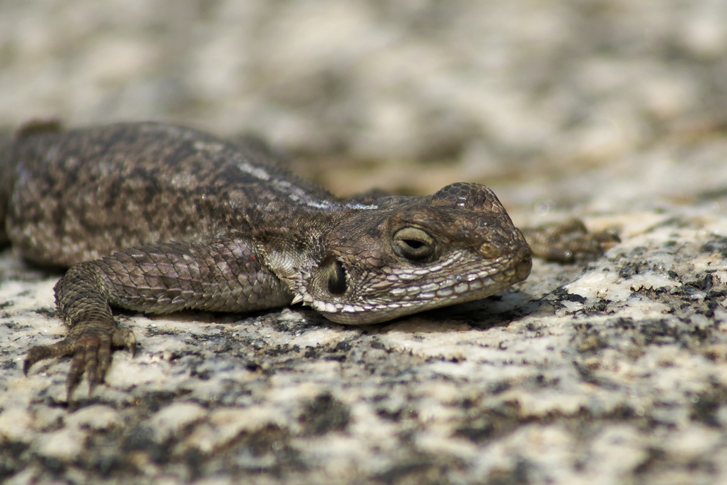DSC02807_DxO.jpg