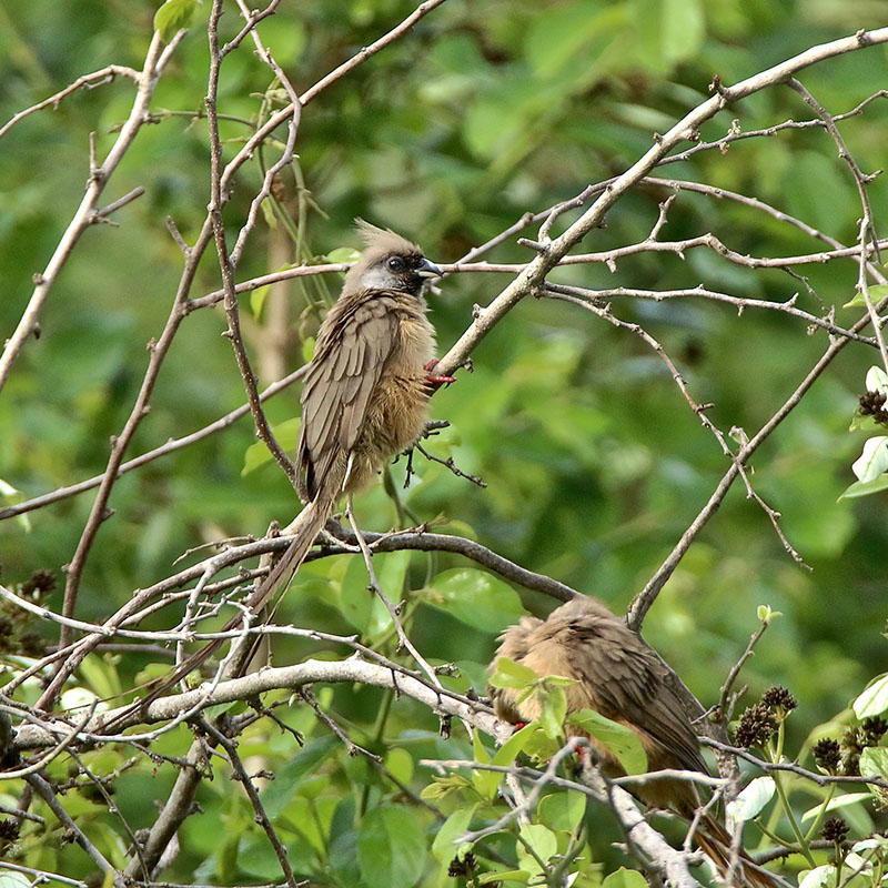IMG_9870 copie.jpg