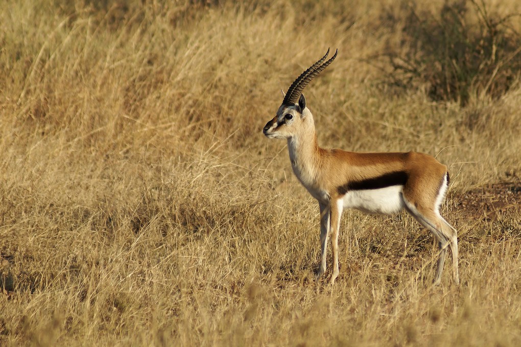 DSC02964_DxO.jpg
