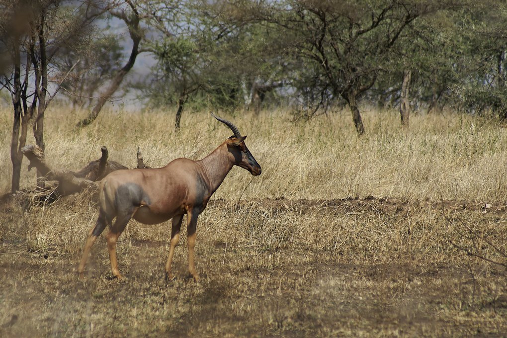 DSC03020_DxO.jpg