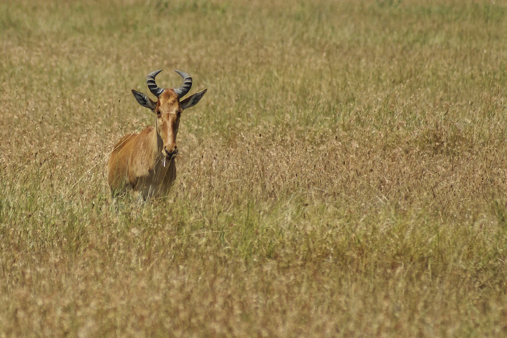 DSC03060_DxO.jpg