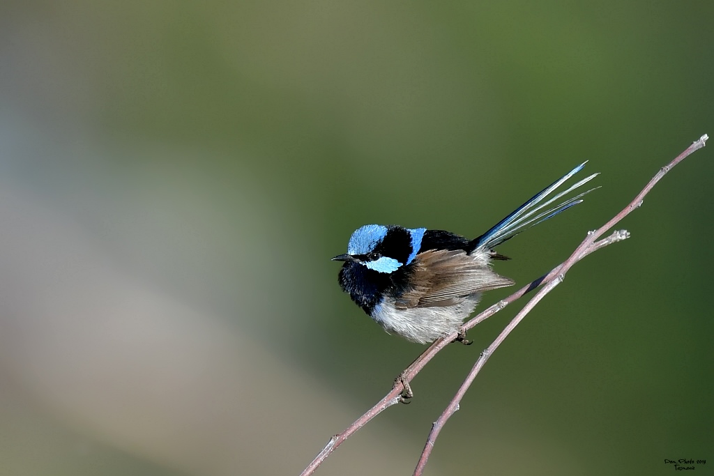 DSC_1476IN.jpg