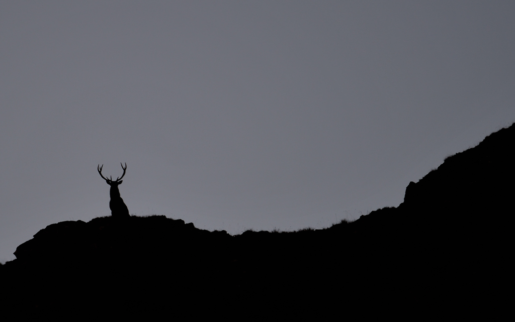 -DS5_6850.jpg
