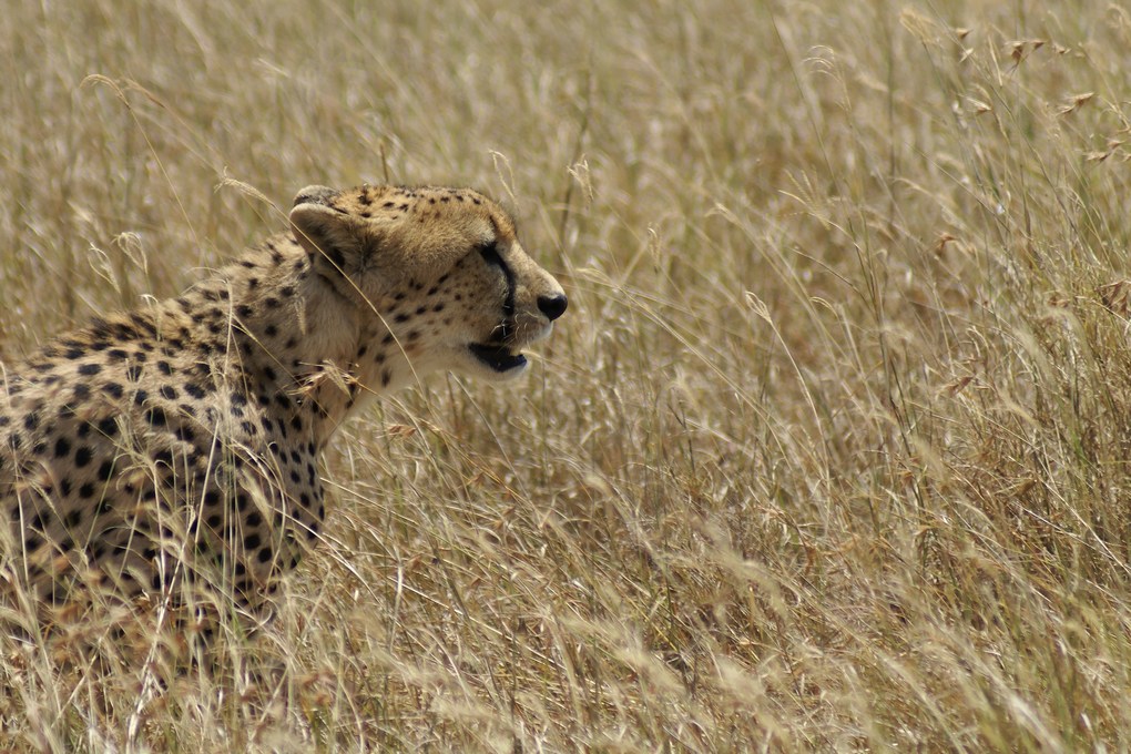 DSC03076_DxO.jpg