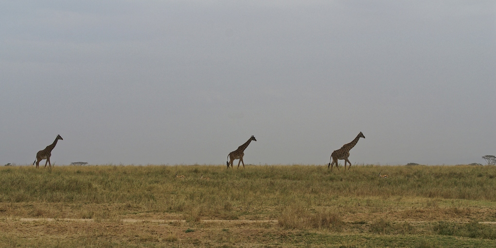 DSC03249_DxO.jpg