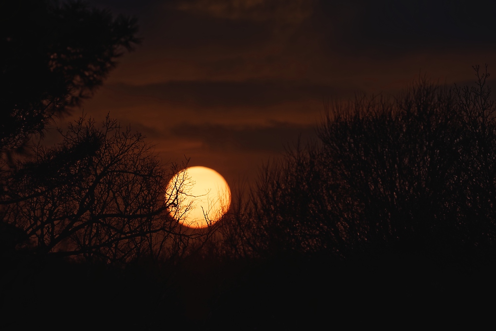 DSC_6544_DxO.jpg