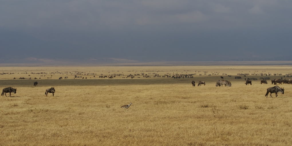 DSC03432_DxO.jpg