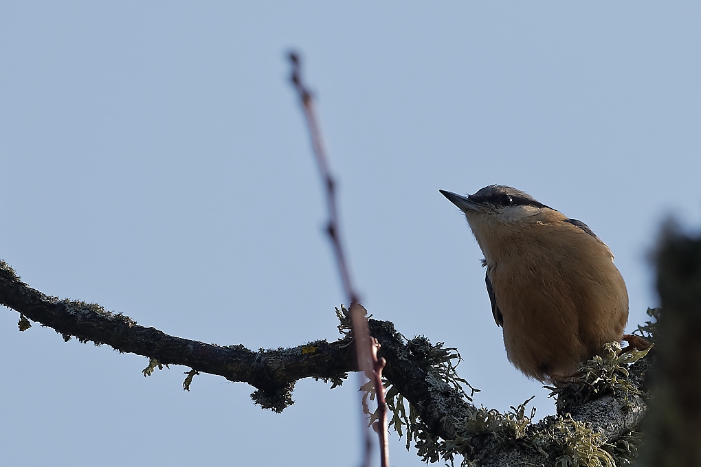 DSC_6689_DxO.jpg