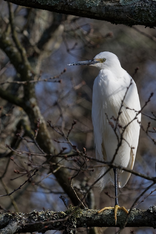 DSC_6700_DxO.jpg