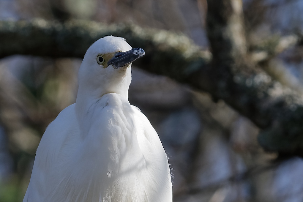 DSC_6702_DxO.jpg