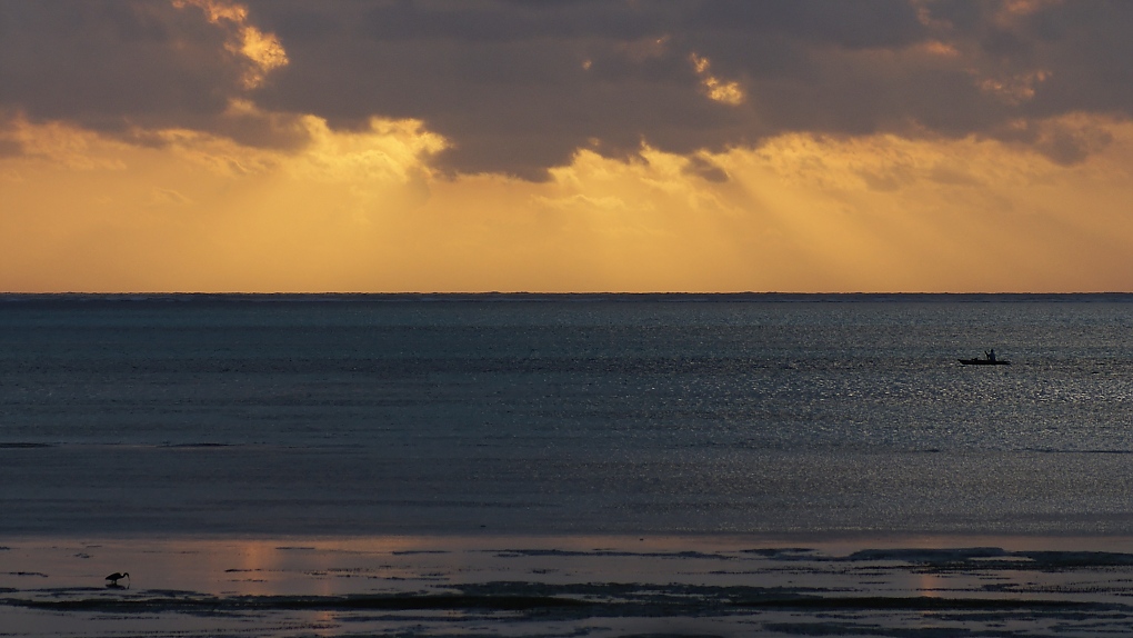 DSC03702_DxO.jpg
