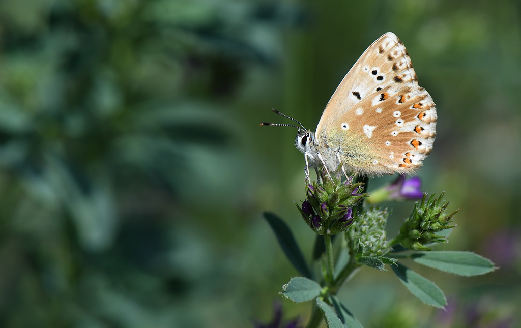 DS5_4669.jpg