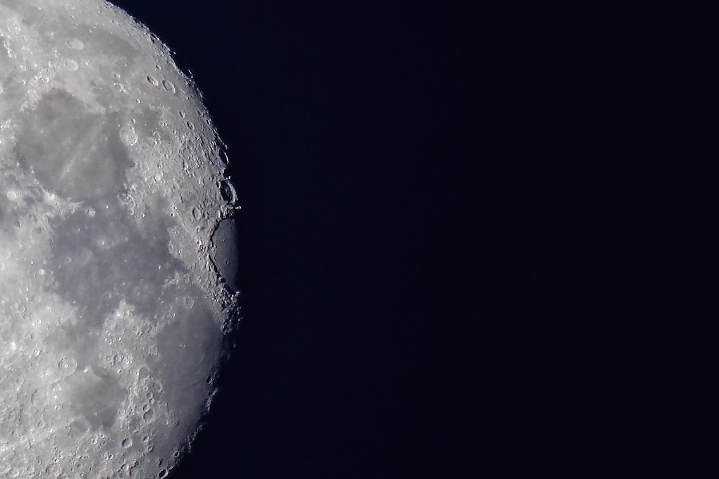 DSC_6958_DxO-1.jpg