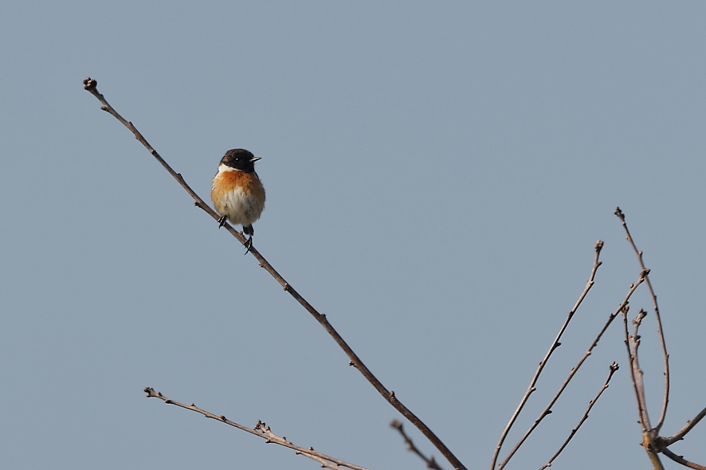 DSC_6745_DxO.jpg