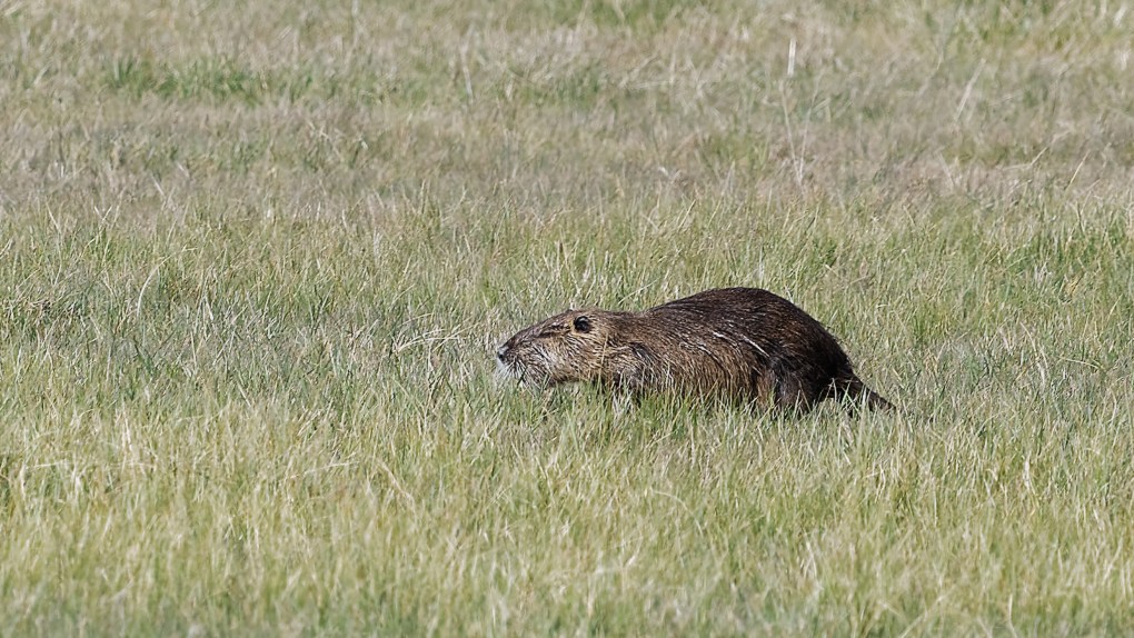 DSC_6797_DxO.jpg