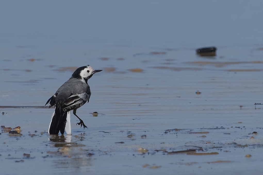 DSC_6939_DxO.jpg