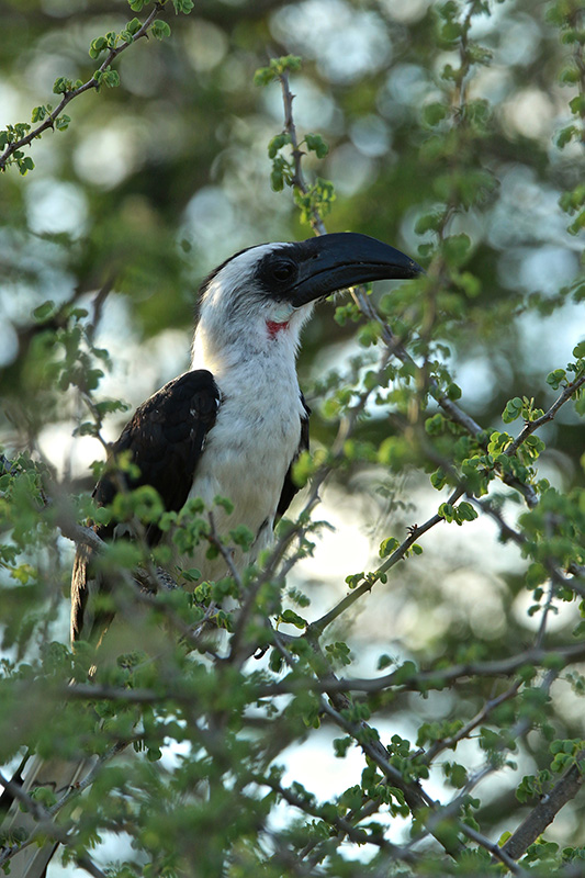 IMG_0266 copie.jpg