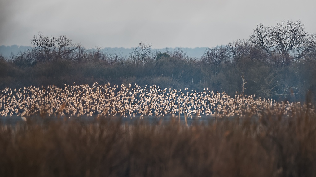 DSC_6966_DxO.jpg