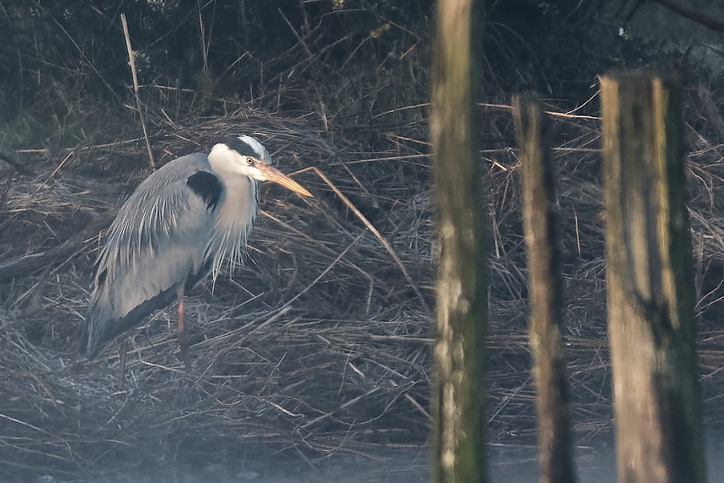 DSC_6983_DxO.jpg