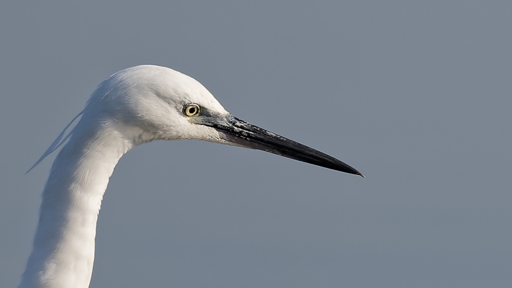 DSC_7082_DxO.jpg