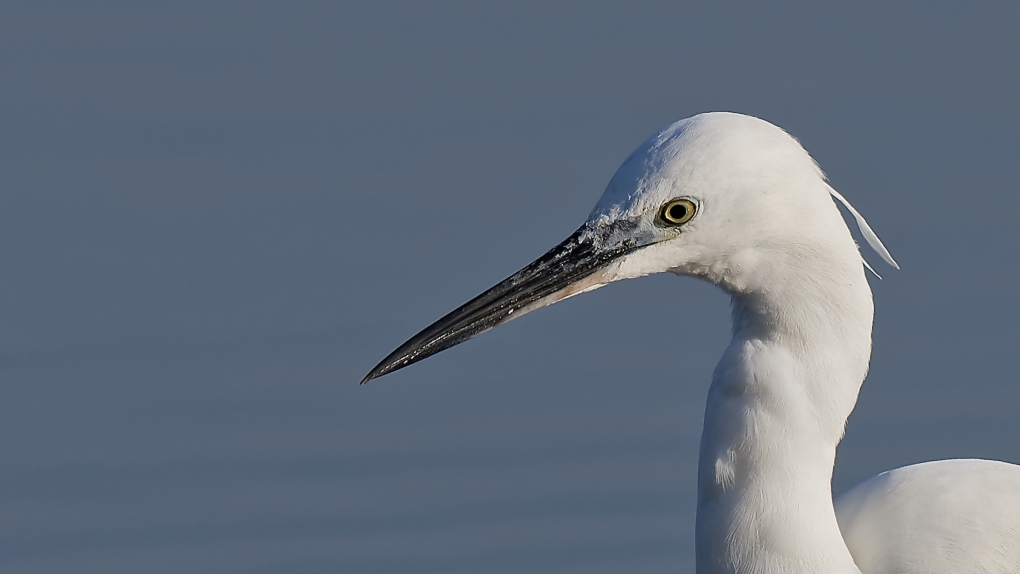 DSC_7087_DxO.jpg