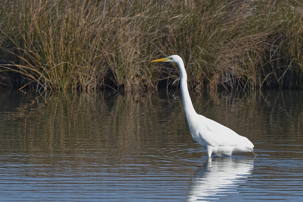 DSC_7159_DxO.jpg