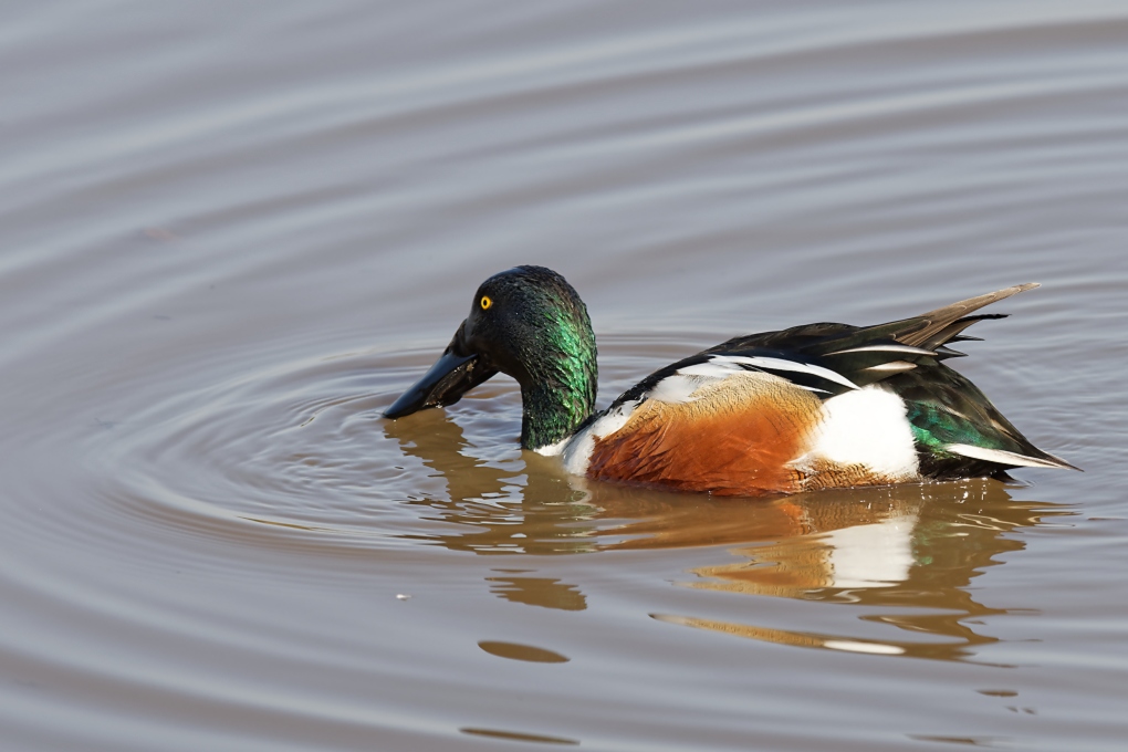 DSC_7163_DxO.jpg