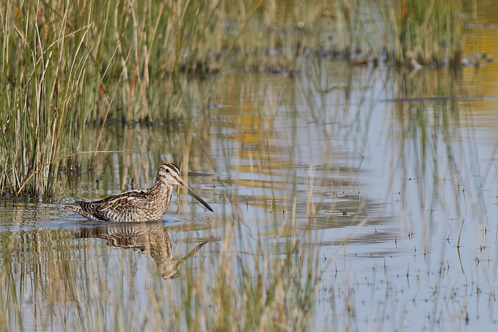 DSC_7179_DxO.jpg
