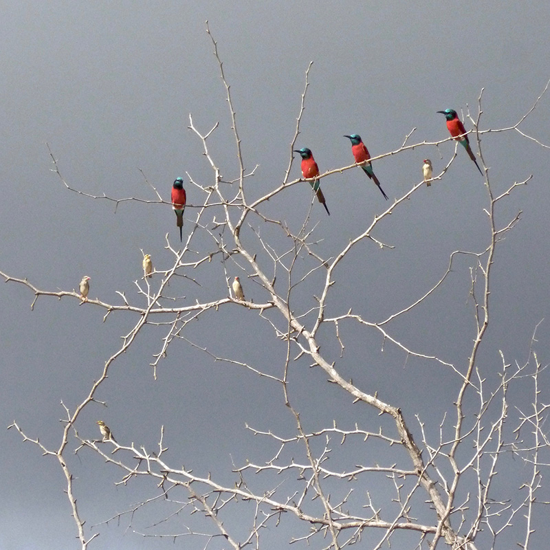 P1060264 copie.jpg